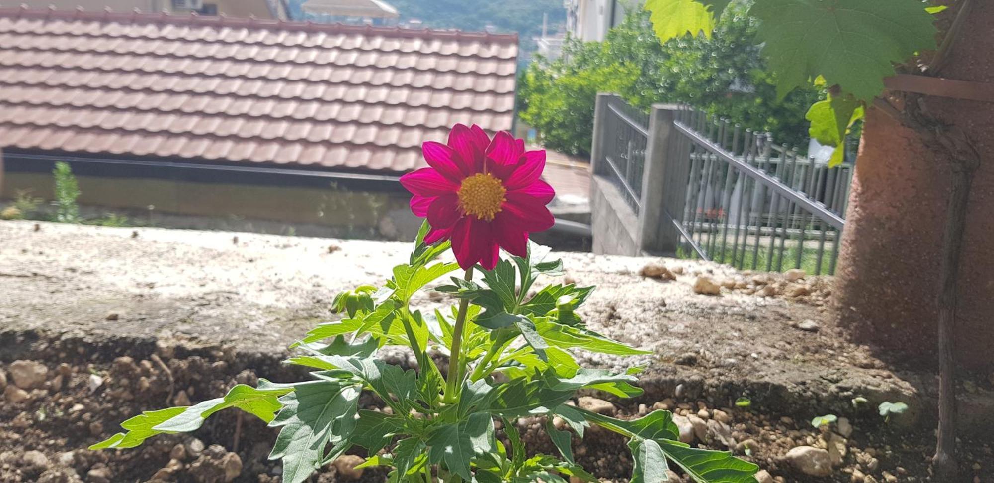 Apartments Lazarevic Kotor Luaran gambar