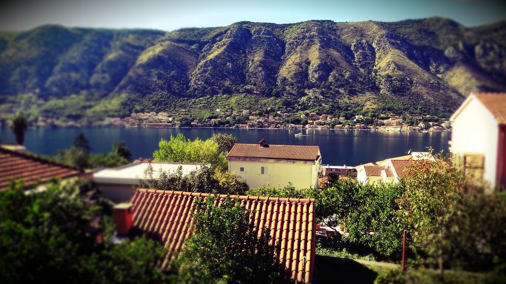 Apartments Lazarevic Kotor Bilik gambar